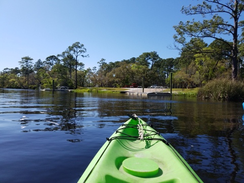 Ochlockonee River, FL Panhandle paddling