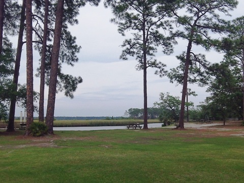 Ochlockonee River, FL Panhandle paddling