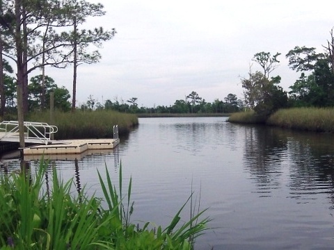 Ochlockonee River, FL Panhandle paddling