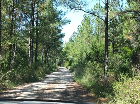 Perdido River, Pipes landing, Florida