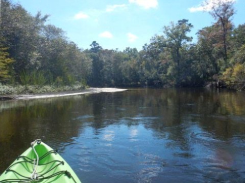 Shoal River