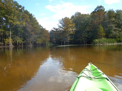 Florida Panhandle, Shoal River Paddling Trail