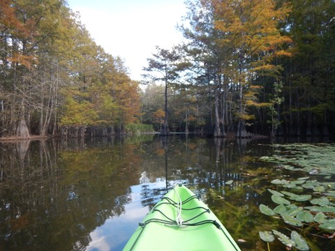 Florida Panhandle, Shoal River Paddling Trail