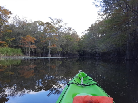 Florida Panhandle, Shoal River Paddling Trail