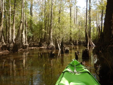 Florida Panhandle, Shoal River Paddling Trail