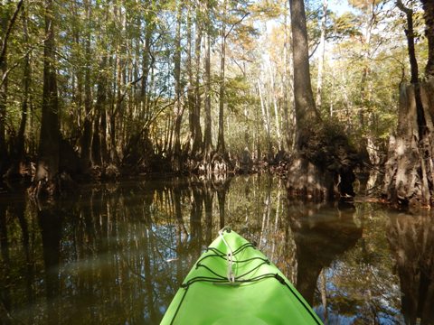 Florida Panhandle, Shoal River Paddling Trail