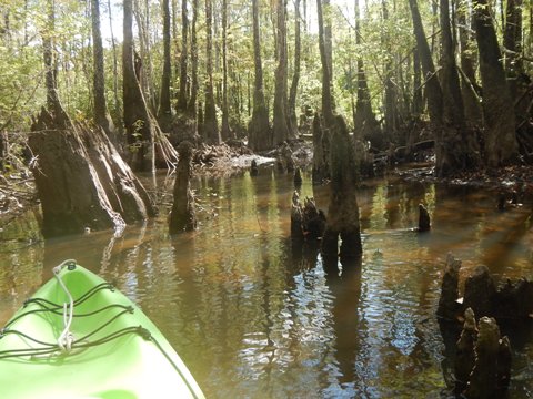 Florida Panhandle, Shoal River Paddling Trail