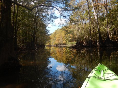 Florida Panhandle, Shoal River Paddling Trail