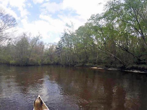 Florida Panhandle, Shoal River Paddling Trail