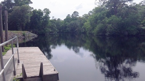 Sopchoppy River, FL Panhandle paddling