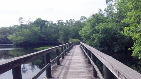 Sopchoppy River, FL Panhandle paddling