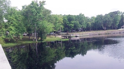 Sopchoppy River, FL Panhandle paddling