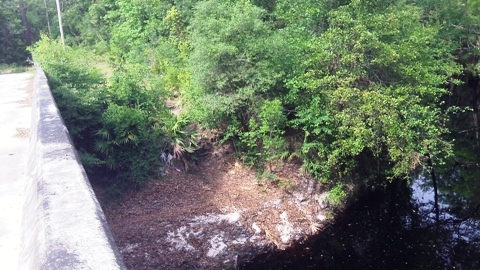 Sopchoppy River, FL Panhandle paddling