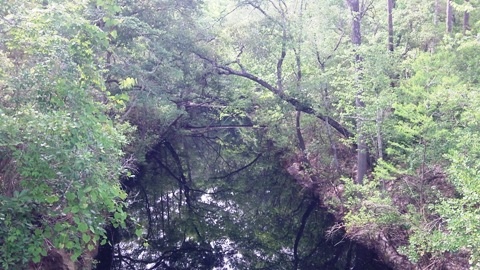 Sopchoppy River, FL Panhandle paddling