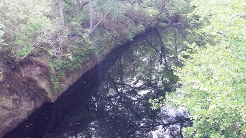 Sopchoppy River, FL Panhandle paddling