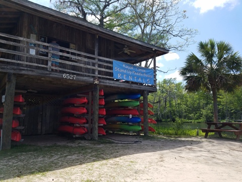 Wakulla River, FL Panhandle paddling