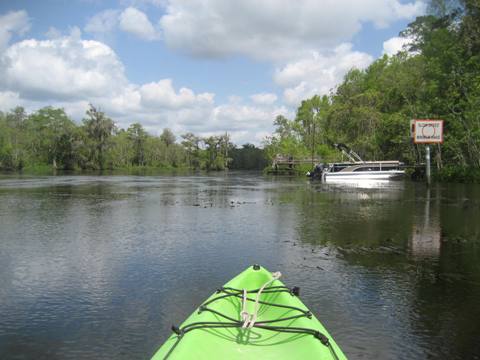 Wakulla River, FL Panhandle paddling