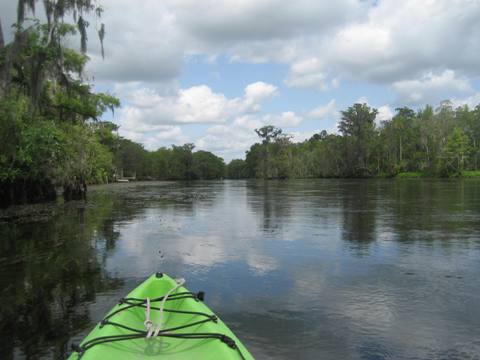 Wakulla River, FL Panhandle paddling