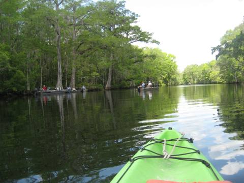 Wakulla River, FL Panhandle paddling