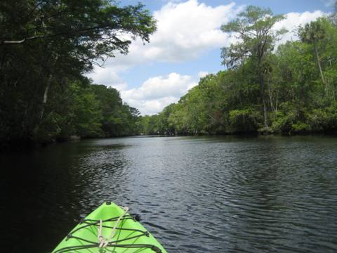 Wakulla River, FL Panhandle paddling