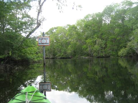 Wakulla River, FL Panhandle paddling