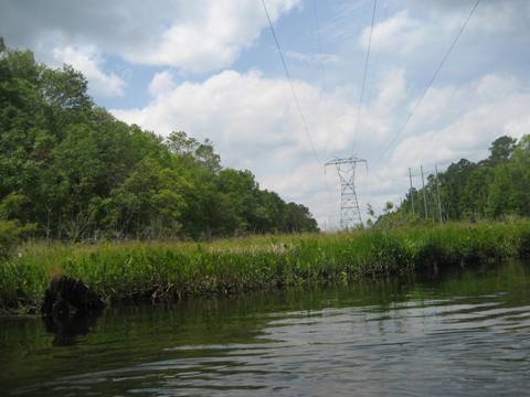 Wakulla River, FL Panhandle paddling