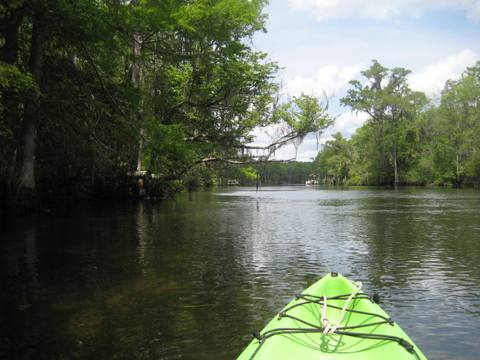 Wakulla River, FL Panhandle paddling