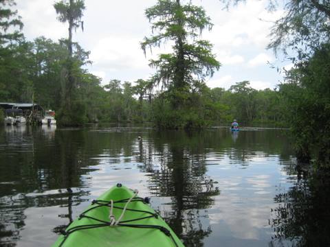 Wakulla River, FL Panhandle paddling