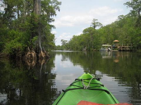 Wakulla River, FL Panhandle paddling