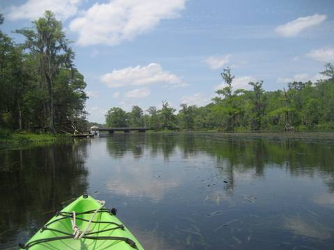 Wakulla River, FL Panhandle paddling