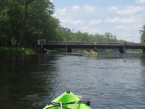 Wakulla River, FL Panhandle paddling