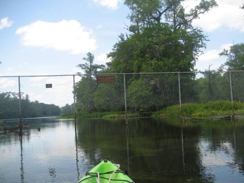 Wakulla River, FL Panhandle paddling