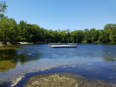 Wakulla River, FL Panhandle paddling