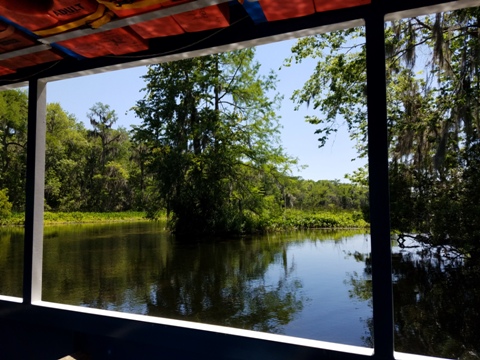 Wakulla River, FL Panhandle paddling