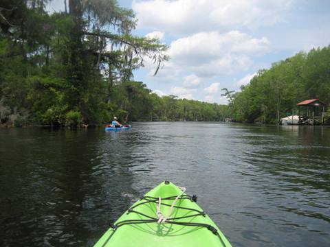 Wakulla River, FL Panhandle paddling