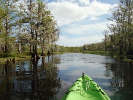 Fisheating Creek