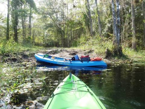 paddle Fisheating Creek