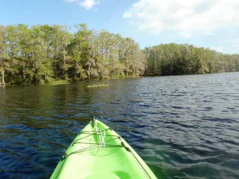 paddle Fisheating Creek