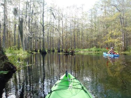 paddle Fisheating Creek