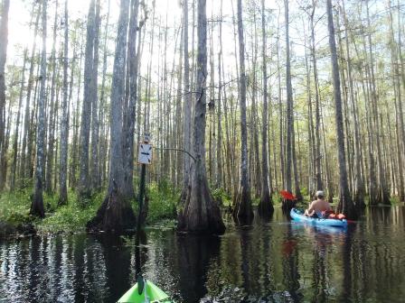 paddle Fisheating Creek