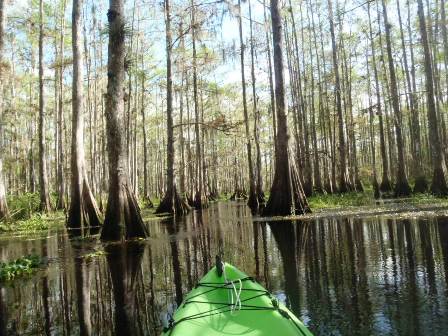 paddle Fisheating Creek