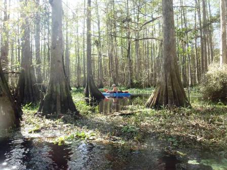 paddle Fisheating Creek