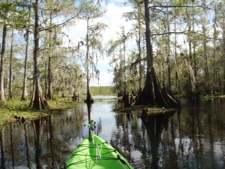 paddle Fisheating Creek