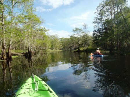 paddle Fisheating Creek