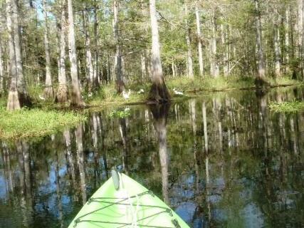 paddle Fisheating Creek