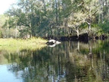 paddle Fisheating Creek