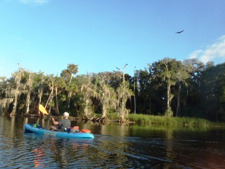 fisheating Creek, Panhandle