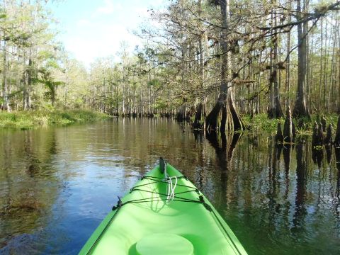 paddle Fisheating Creek