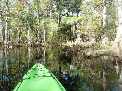 paddle Fisheating Creek