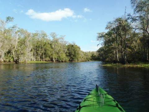 paddle Fisheating Creek